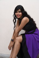Rachana Smith Images